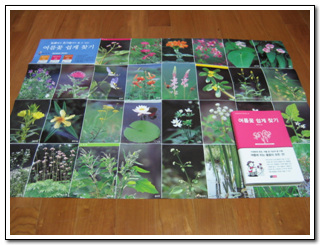 이미지 전체보기