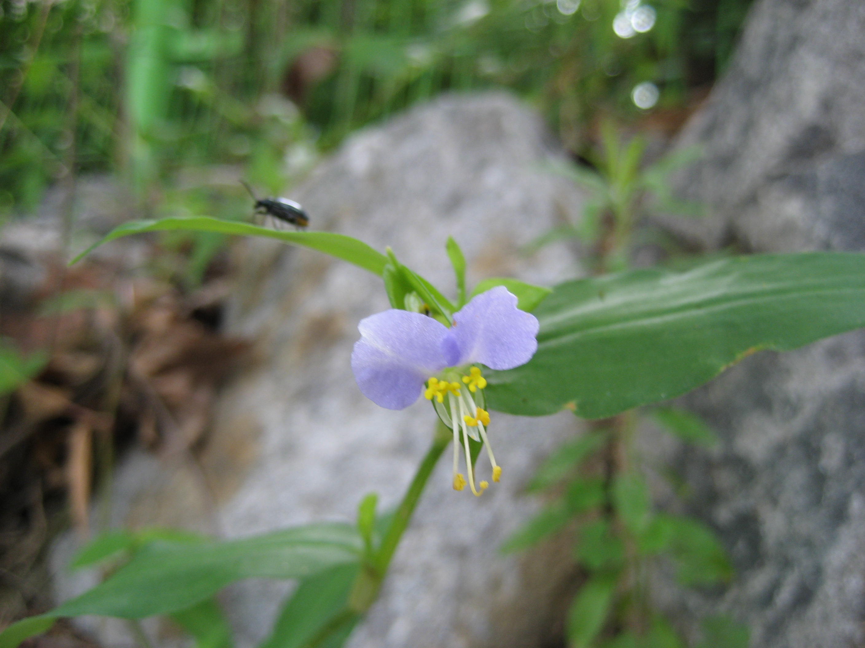 이미지 전체보기