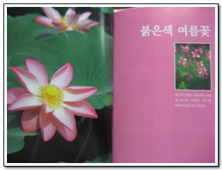 이미지 전체보기