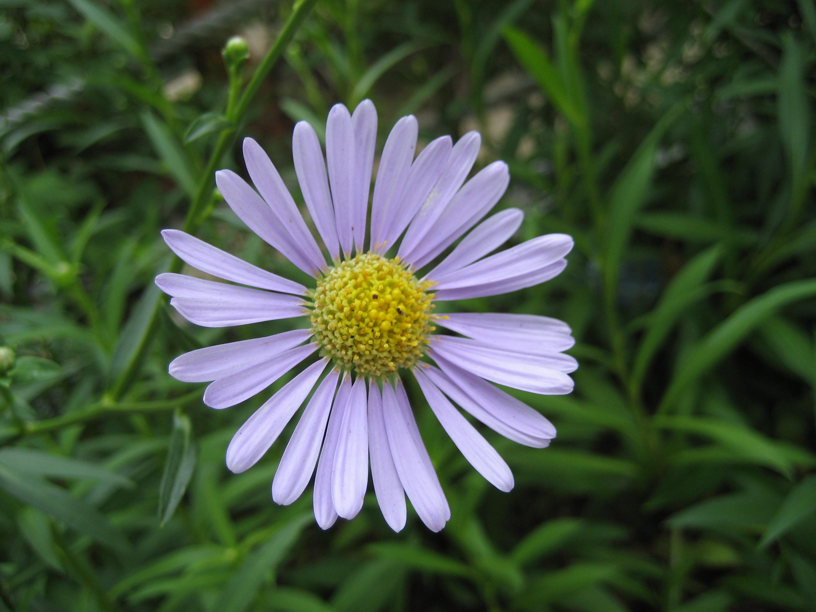 이미지 전체보기