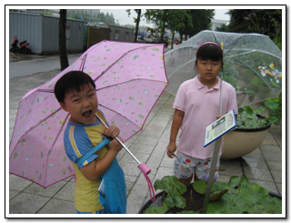 이미지 전체보기