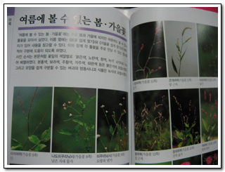 이미지 전체보기